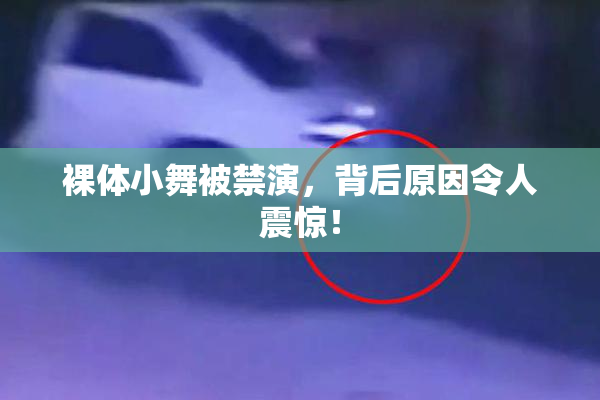 裸体小舞被禁演，背后原因令人震惊！