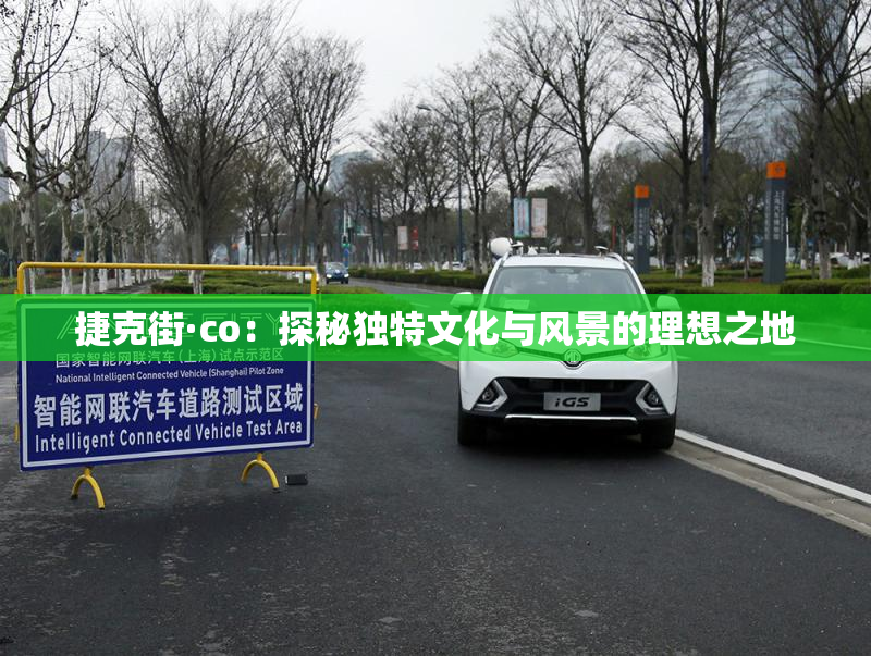 捷克街·co：探秘独特文化与风景的理想之地