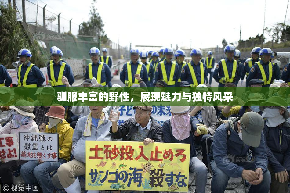 驯服丰富的野性，展现魅力与独特风采