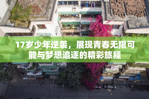 17岁少年逆袭，展现青春无限可能与梦想追逐的精彩旅程