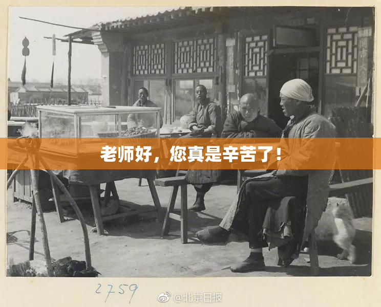 老师好，您真是辛苦了！