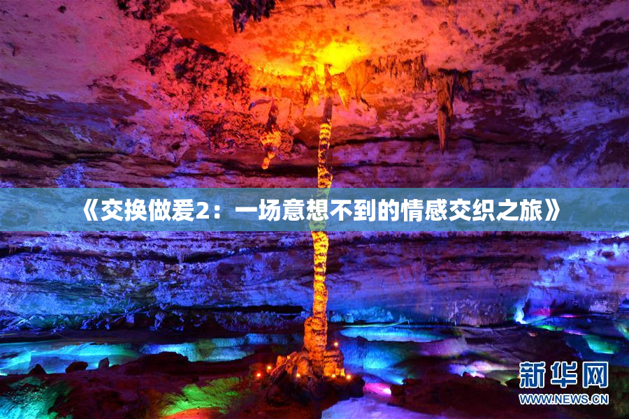 《交换做爰2：一场意想不到的情感交织之旅》