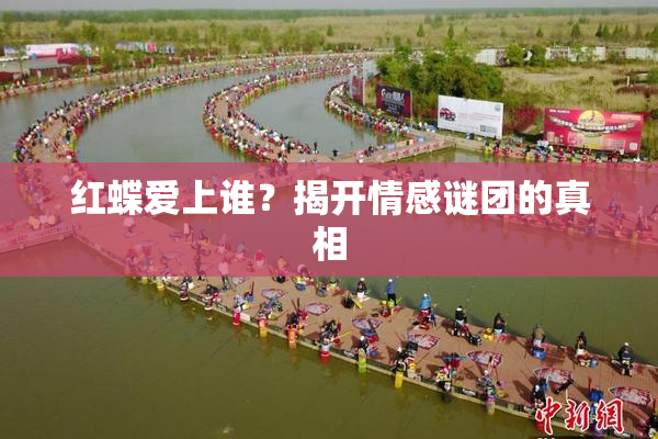 红蝶爱上谁？揭开情感谜团的真相