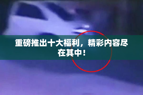 重磅推出十大福利，精彩内容尽在其中！