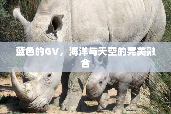 蓝色的GV，海洋与天空的完美融合