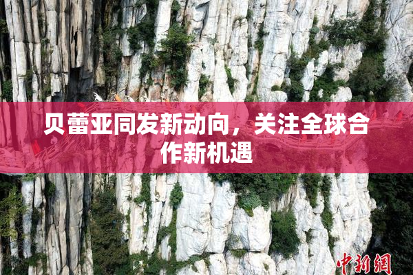 贝蕾亚同发新动向，关注全球合作新机遇