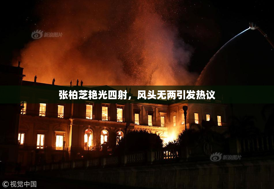 张柏芝艳光四射，风头无两引发热议