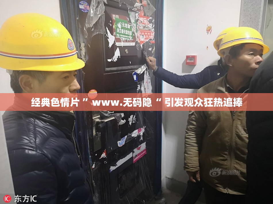 经典色情片 ”www.无码隐“ 引发观众狂热追捧