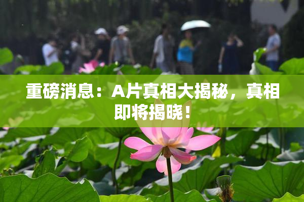 重磅消息：A片真相大揭秘，真相即将揭晓！