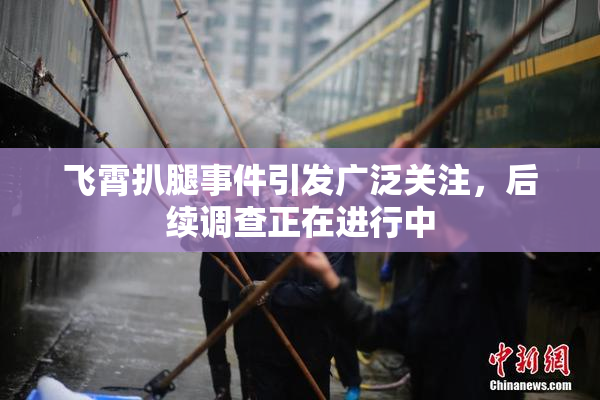 飞霄扒腿事件引发广泛关注，后续调查正在进行中