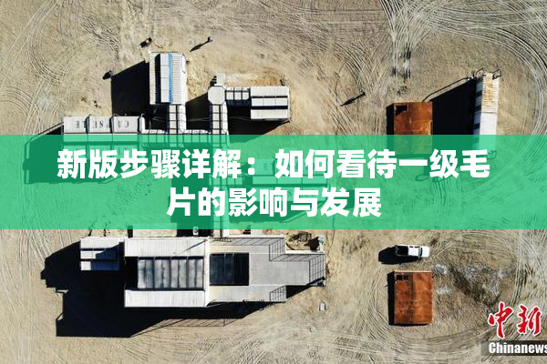新版步骤详解：如何看待一级毛片的影响与发展