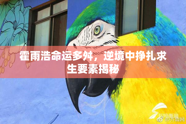 霍雨浩命运多舛，逆境中挣扎求生要素揭秘