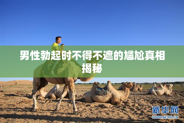 男性勃起时不得不遮的尴尬真相揭秘