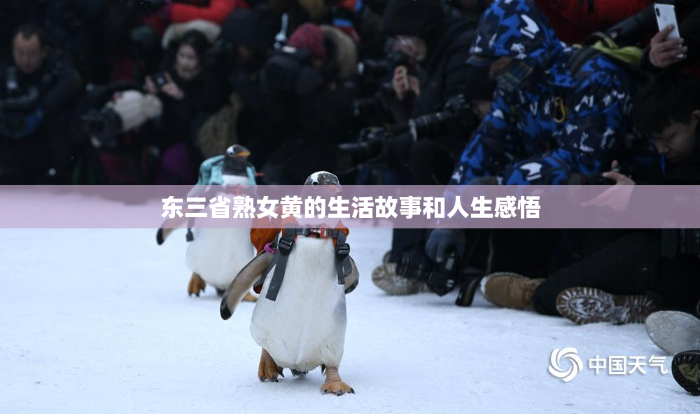东三省熟女黄的生活故事和人生感悟