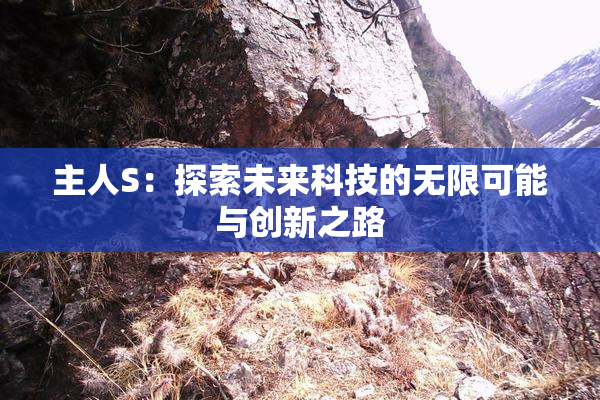 主人S：探索未来科技的无限可能与创新之路