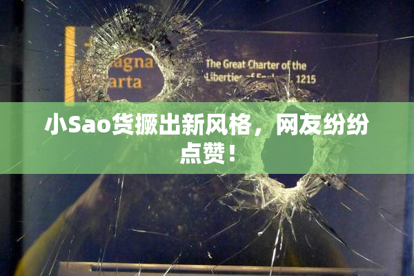 小Sao货撅出新风格，网友纷纷点赞！