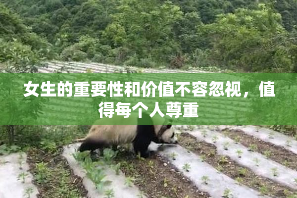 女生的重要性和价值不容忽视，值得每个人尊重