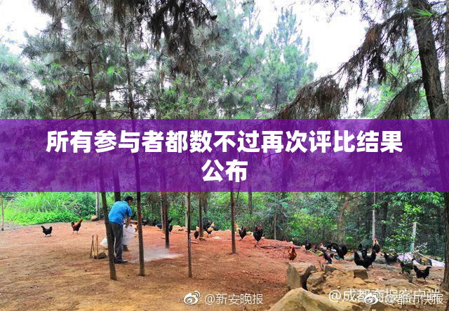 所有参与者都数不过再次评比结果公布