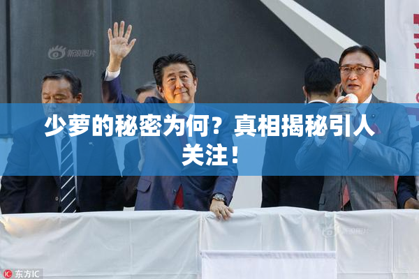 少萝的秘密为何？真相揭秘引人关注！