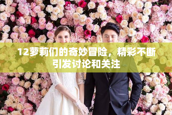 12萝莉们的奇妙冒险，精彩不断引发讨论和关注