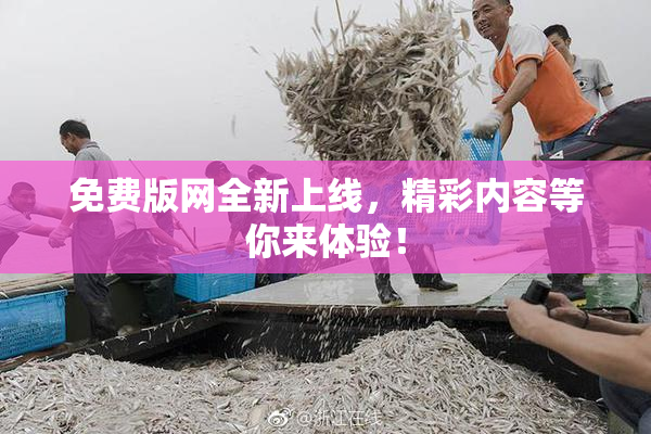 免费版网全新上线，精彩内容等你来体验！