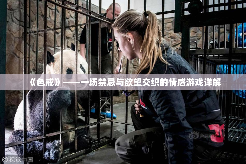 《色戒》——一场禁忌与欲望交织的情感游戏详解
