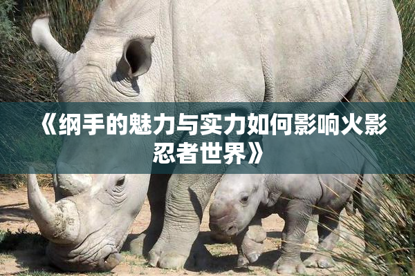 《纲手的魅力与实力如何影响火影忍者世界》
