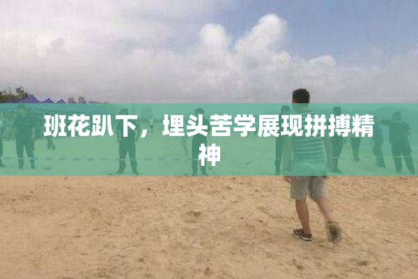 班花趴下，埋头苦学展现拼搏精神