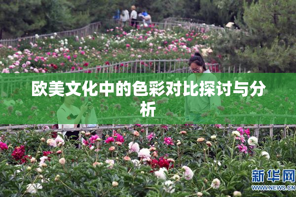 欧美文化中的色彩对比探讨与分析