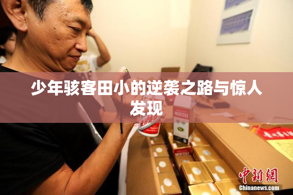 少年骇客田小的逆袭之路与惊人发现