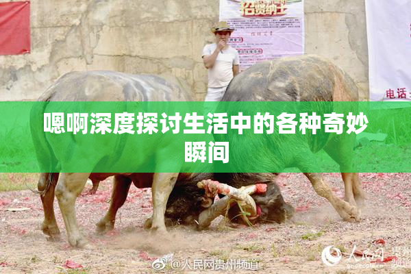 嗯啊深度探讨生活中的各种奇妙瞬间