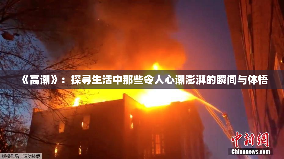 《高潮》：探寻生活中那些令人心潮澎湃的瞬间与体悟