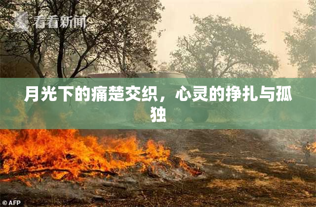 月光下的痛楚交织，心灵的挣扎与孤独