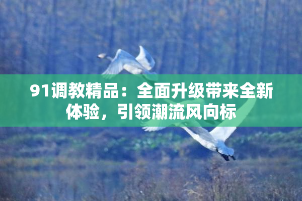91调教精品：全面升级带来全新体验，引领潮流风向标