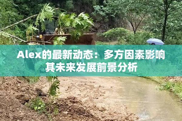 Alex的最新动态：多方因素影响其未来发展前景分析