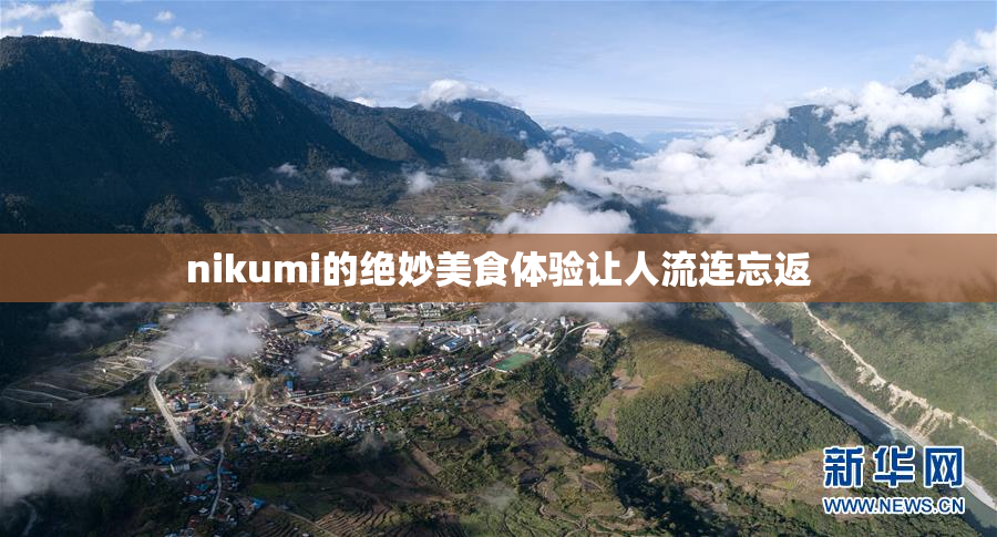 nikumi的绝妙美食体验让人流连忘返