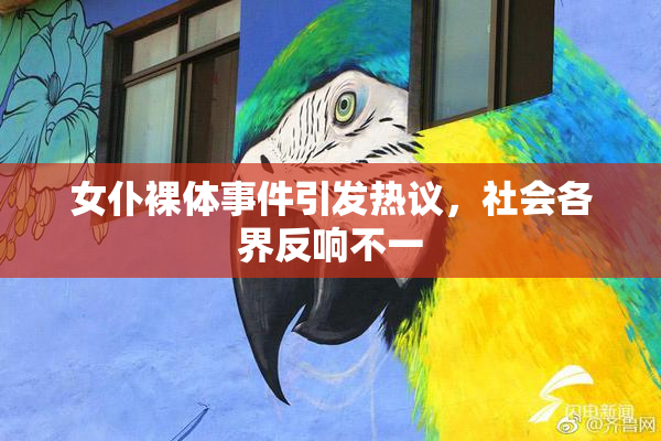 女仆裸体事件引发热议，社会各界反响不一