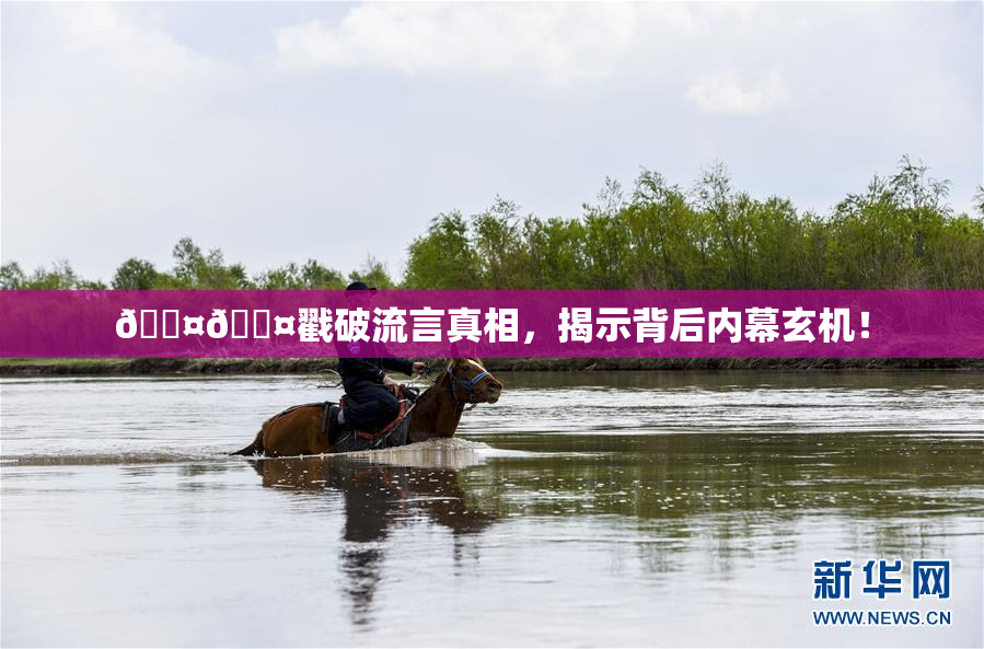 🐤🐤戳破流言真相，揭示背后内幕玄机！