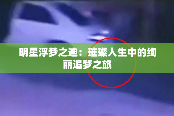 明星浮梦之迪：璀璨人生中的绚丽追梦之旅