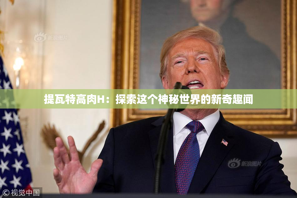提瓦特高肉H：探索这个神秘世界的新奇趣闻