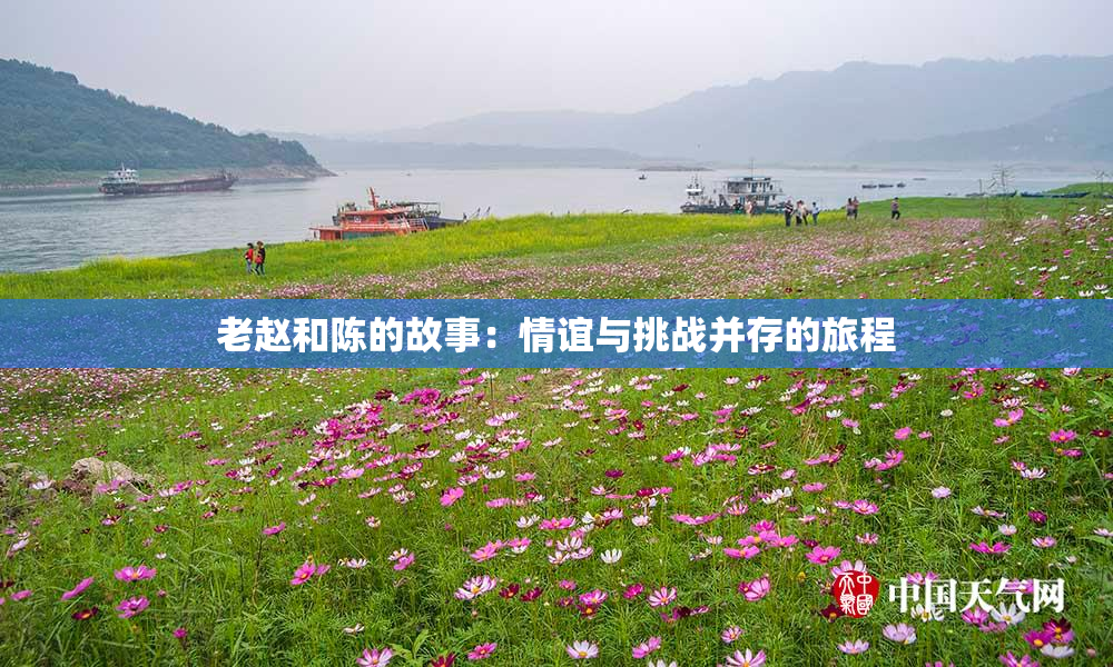 老赵和陈的故事：情谊与挑战并存的旅程