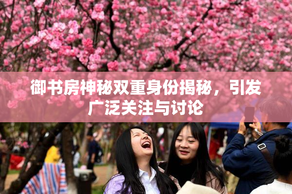 御书房神秘双重身份揭秘，引发广泛关注与讨论