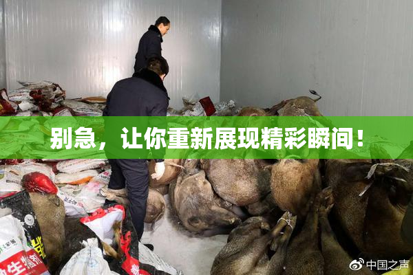 别急，让你重新展现精彩瞬间！