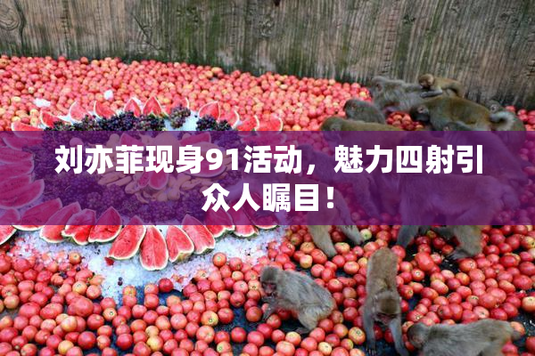 刘亦菲现身91活动，魅力四射引众人瞩目！