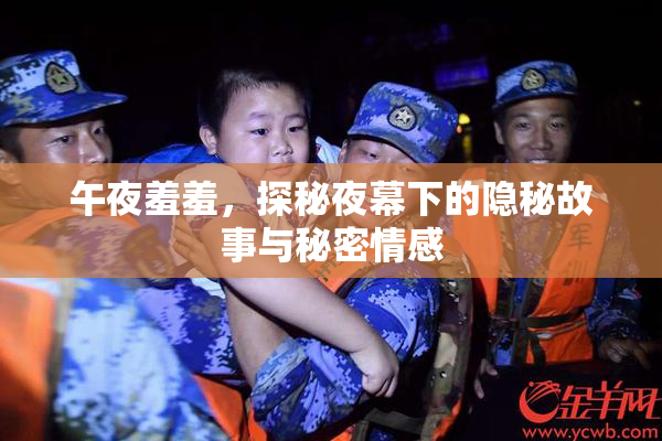 午夜羞羞，探秘夜幕下的隐秘故事与秘密情感