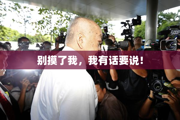 别摸了我，我有话要说！