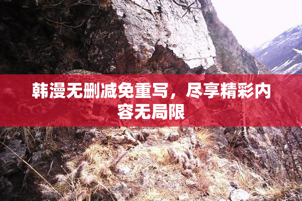 韩漫无删减免重写，尽享精彩内容无局限