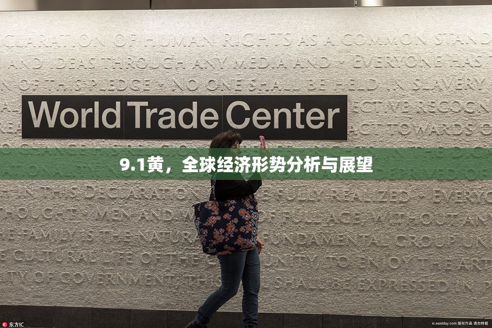 9.1黄，全球经济形势分析与展望