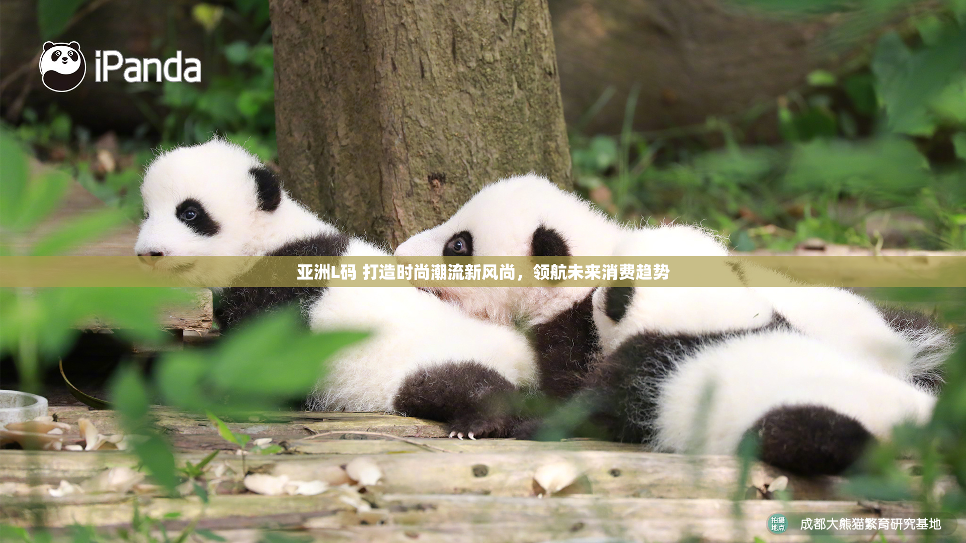 亚洲L码 打造时尚潮流新风尚，领航未来消费趋势