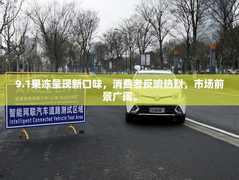 9.1果冻呈现新口味，消费者反响热烈，市场前景广阔。